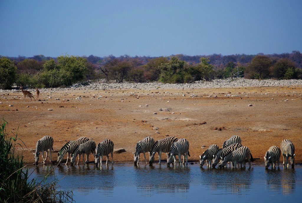 12 самых красивых мест для посещения в Намибии – Фото 2
