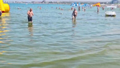 Черное море затянуло зеленой мутью: что происходит на курортах